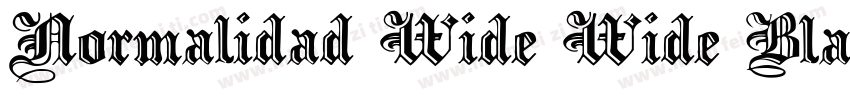 Normalidad Wide Wide Black字体转换